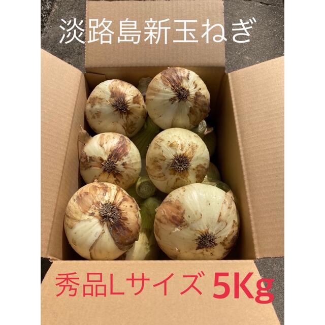 ♦️秀品3Lサイズ20Kg♦️淡路島玉ねぎ　たまねぎ　玉葱