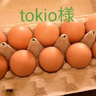 tokio様専用　平飼いたまご30個(野菜)