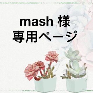 mash 様　専用ページ(その他)