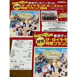 ディズニー　懸賞　ダイヤモンドホースシュー特別プランご招待(その他)