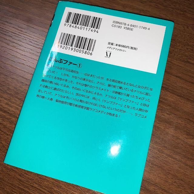 けんぷファー 1 エンタメ/ホビーの本(文学/小説)の商品写真