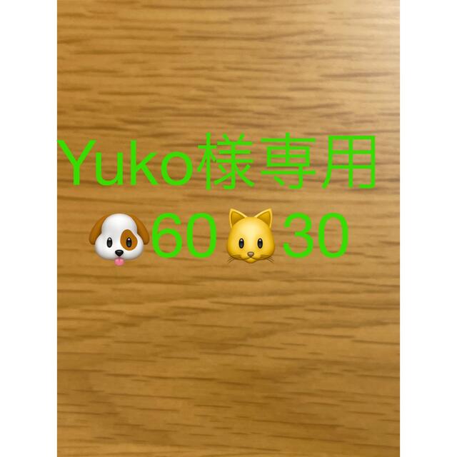 Yuko6030