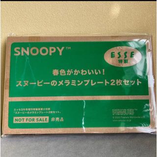 スヌーピー(SNOOPY)のesse 付録(食器)