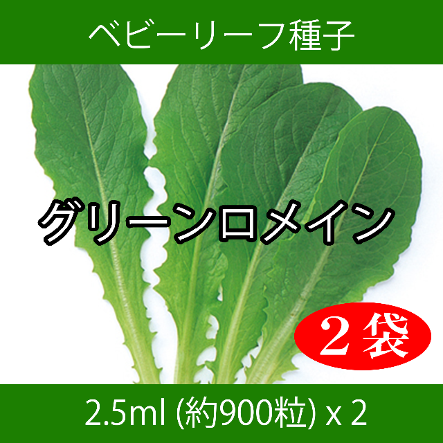 ベビーリーフ種子 B-05 グリーンロメイン 2.5ml 約900粒 x 2袋 食品/飲料/酒の食品(野菜)の商品写真