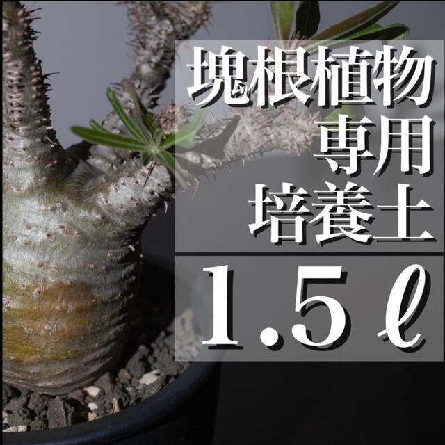 塊根植物用培養土 1.5リットル  ハンドメイドのフラワー/ガーデン(その他)の商品写真