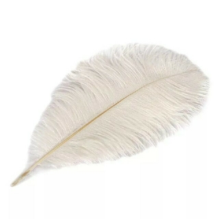 オーストリッチ　フェザーの羽根 　ダチョウの羽　25cm～30cm　10本(各種パーツ)