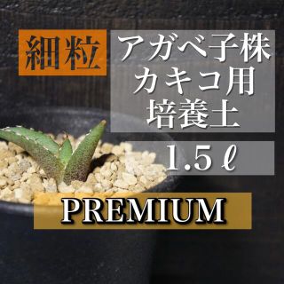 アガベ子株用培養土 1.5リットル(その他)