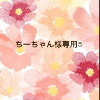 ちーちゃん様専用☺︎(ピアス)