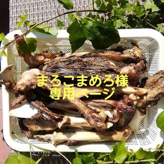 まろこまめろ様専用ページ(犬)