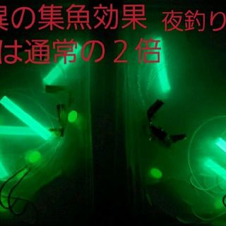 投げ釣り仕掛け13号2本針×10本セット(釣り糸/ライン)