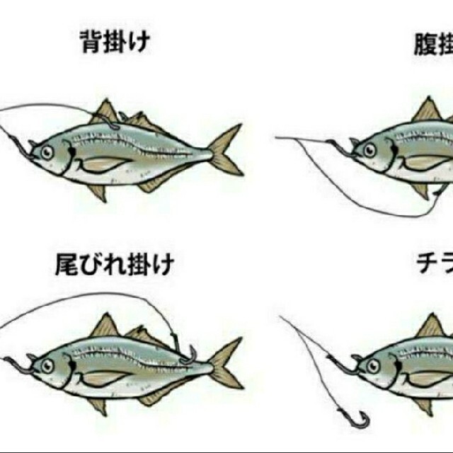 がまかつ(ガマカツ)の泳がせ専用仕掛け16号2本針×10本セット スポーツ/アウトドアのフィッシング(その他)の商品写真