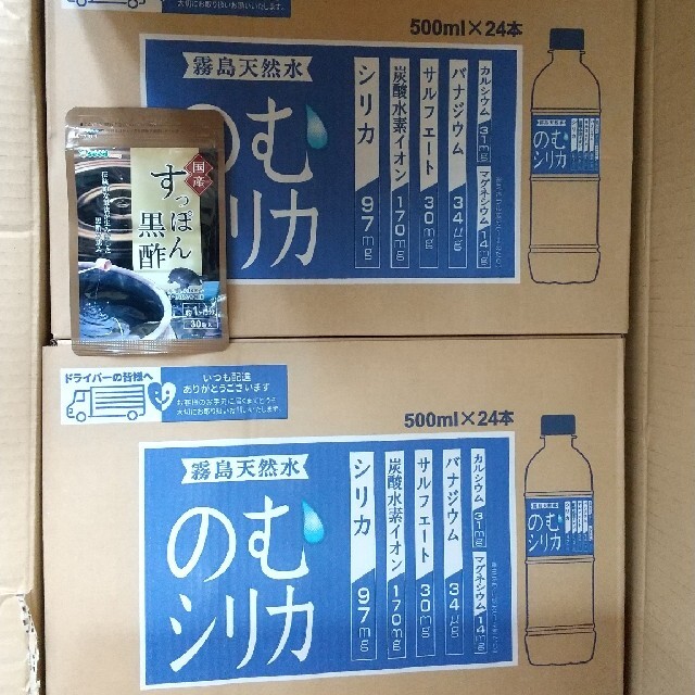 新政 NO.6(ナンバーシックス) S-type 新政 NO.6(ナンバーシックス) S-type