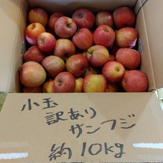 サクサク様専用の通販 by 千曲農園|ラクマ