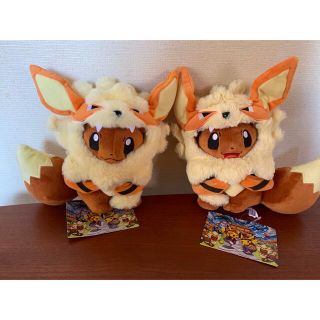 ポケモン - 新品 沖縄限定 イーブイウインディポンチョ ぬいぐるみの
