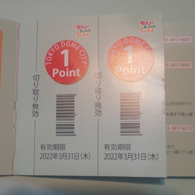 専用です。東京ドームシティ得10チケット2枚 チケットの施設利用券(遊園地/テーマパーク)の商品写真