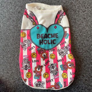 beach HOLIC(犬)