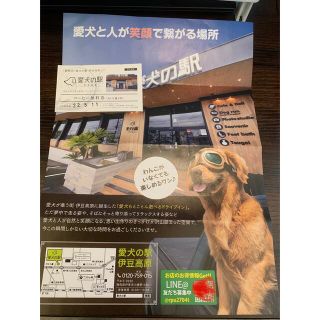 愛犬の駅　コーヒー無料券、ご飲食10%OFF券　他(フード/ドリンク券)