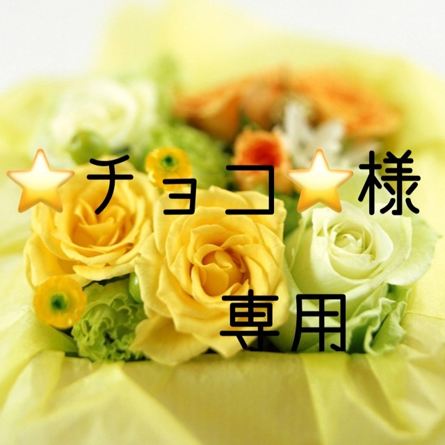 ⭐️チョコ⭐️　お米　令和3年　愛媛県産ヒノヒカリ　玄米　20㎏