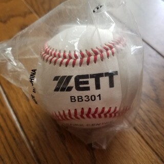 ゼット(ZETT)のZETT BB301(グローブ)