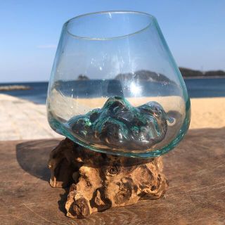 流木ガラスMN1 オブジェ 花瓶 多肉植物 金魚鉢 バリ島アート作品 テラリウム(ガラス)