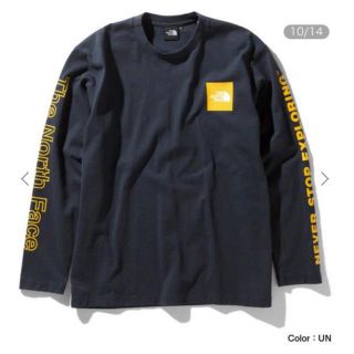 ザノースフェイス(THE NORTH FACE)のノースフェイス ロングスリーブスリーブグラフィックティー　タグ付き新品(Tシャツ/カットソー(七分/長袖))