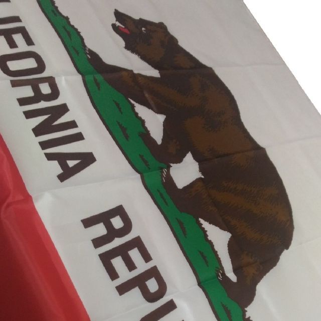 商品追加値下げ在庫復活 California カリフォルニア 90cm×150cm ビッグフラッグ