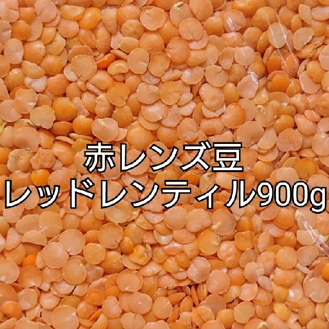 ①レッドレンティル900g/Red Lentil・赤レンズ豆の挽き割り・乾燥豆 食品/飲料/酒の食品(米/穀物)の商品写真