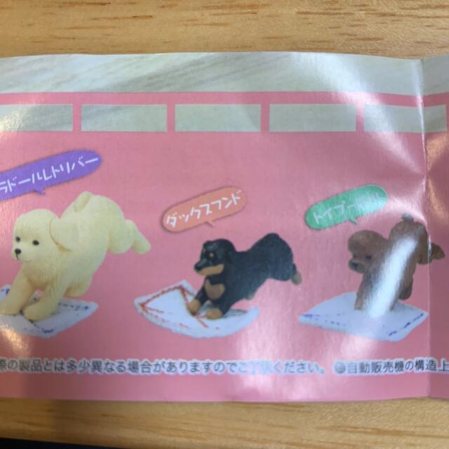 ぞうきんがけ当番　ダックスフンド エンタメ/ホビーのフィギュア(その他)の商品写真