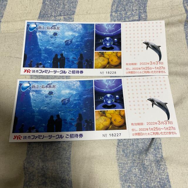 新江ノ島水族館ご招待券ベアー チケットの施設利用券(水族館)の商品写真