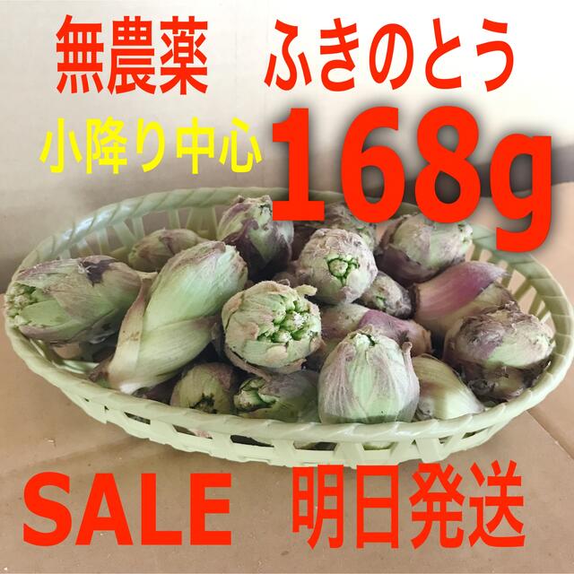 埼玉県産　無農薬　ふきのとう　蕗の薹　100gオーバー 食品/飲料/酒の食品(野菜)の商品写真