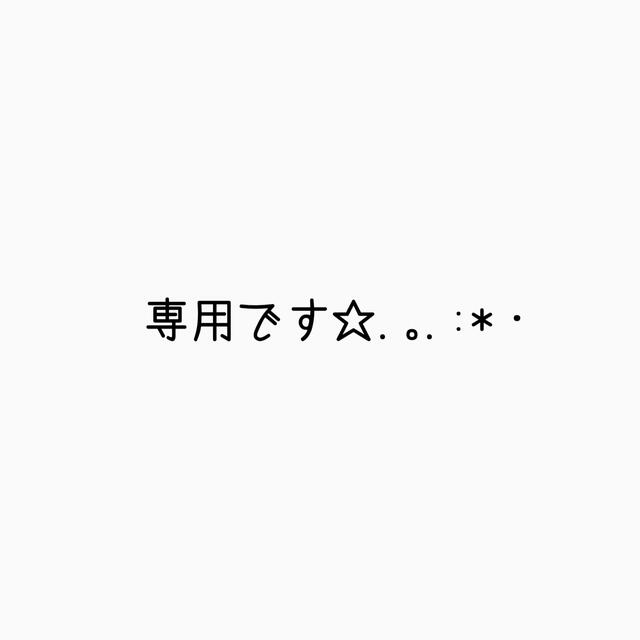 メーカー直送】 しんご様専用です