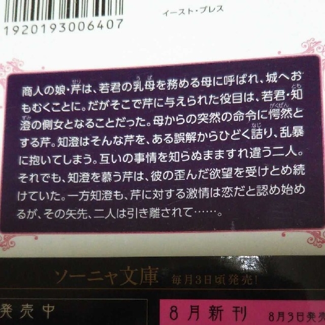 風車の恋歌 ソーニャ文庫 藤波ちなこ TL Ciel エンタメ/ホビーの本(文学/小説)の商品写真