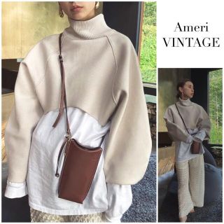 アメリヴィンテージ(Ameri VINTAGE)のAMERI ROUNDNESS SHORT KNIT(ニット/セーター)