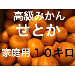 みかん　せとか(フルーツ)