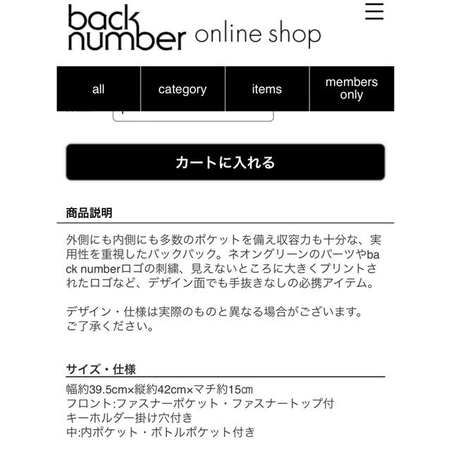 BACK NUMBER(バックナンバー)のback number スクエアバッグ エンタメ/ホビーのタレントグッズ(ミュージシャン)の商品写真