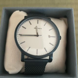 スカーゲン(SKAGEN)の腕時計　スカーゲン　ブルー　チタンベルト(腕時計(アナログ))