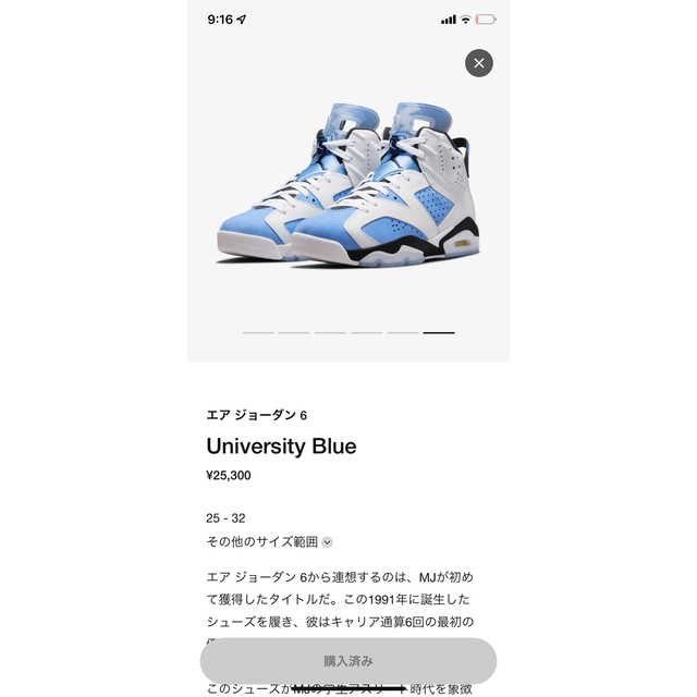 Nike Air Jordan 6 "UNC" 29.0 2