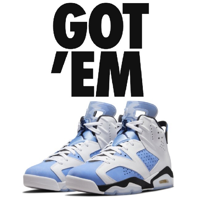 NIKE Air Jordan 6 UNC 28.0cm