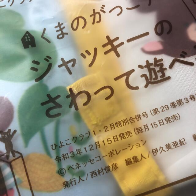 くまのがっこう(クマノガッコウ)の雑誌付録　くまのがっこう　ジャッキー　布絵本 キッズ/ベビー/マタニティのおもちゃ(知育玩具)の商品写真