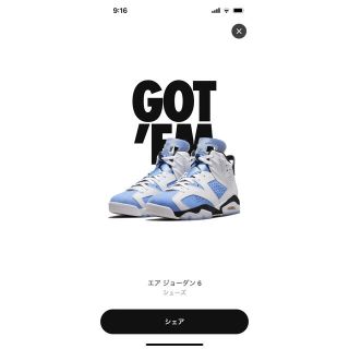 Nike Air Jordan 6  ユニバーシティブルー27.5センチ(スニーカー)