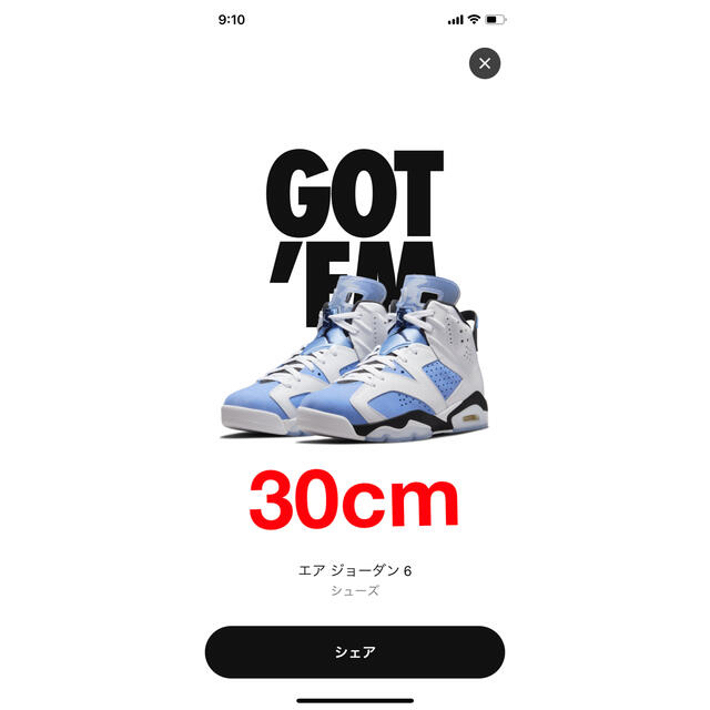 Nike Air Jordan 6 "UNC" 30cm