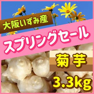 ❤️【春のお客様感謝祭】産直新鮮・無農薬・自然栽培『白菊芋』〜大阪いずみ産(野菜)