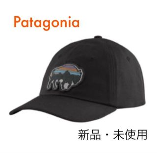 パタゴニア(patagonia)のパタゴニア  キャップ　新品未使用(キャップ)