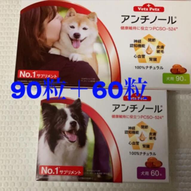 4月から値上げです、早い者勝ち！アンチノール犬用150粒　新品未開封 その他のペット用品(犬)の商品写真