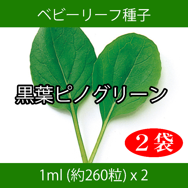 ベビーリーフ種子 B-25 黒葉ピノグリーン 1ml 約260粒 x 2袋 食品/飲料/酒の食品(野菜)の商品写真