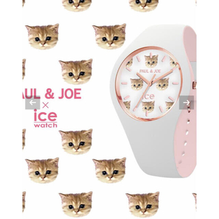 ポールアンドジョー(PAUL & JOE)の新品　PAUL & JOE × ICE WATCH コラボ (腕時計)