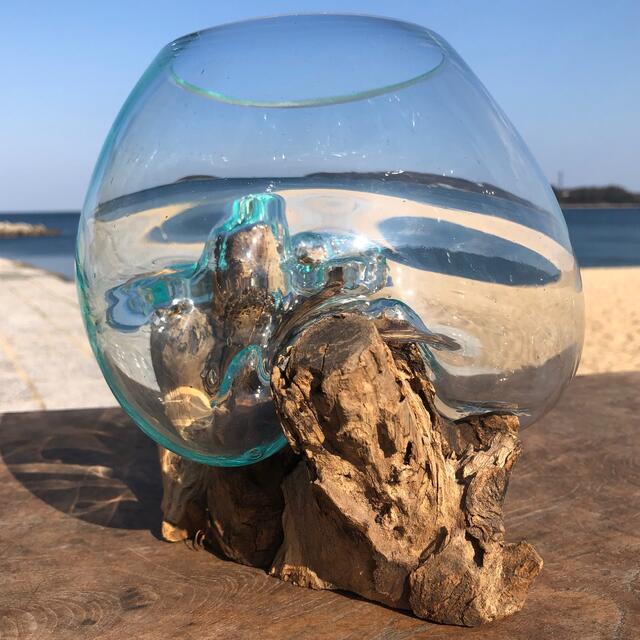 流木ガラス オブジェ中7 花瓶 金魚鉢 ガーデニング テラリウム 観賞魚
