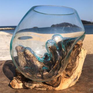 流木ガラス オブジェ中7 花瓶 金魚鉢 ガーデニング テラリウム 観賞