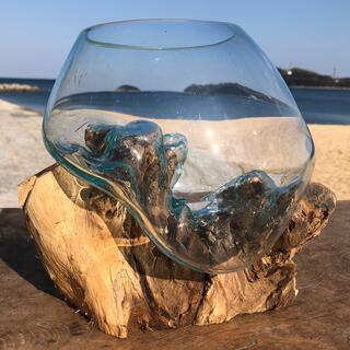 流木ガラス オブジェ中7 花瓶 金魚鉢 ガーデニング テラリウム