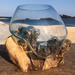 流木ガラス オブジェ中7 花瓶 金魚鉢 ガーデニング テラリウム 観賞魚